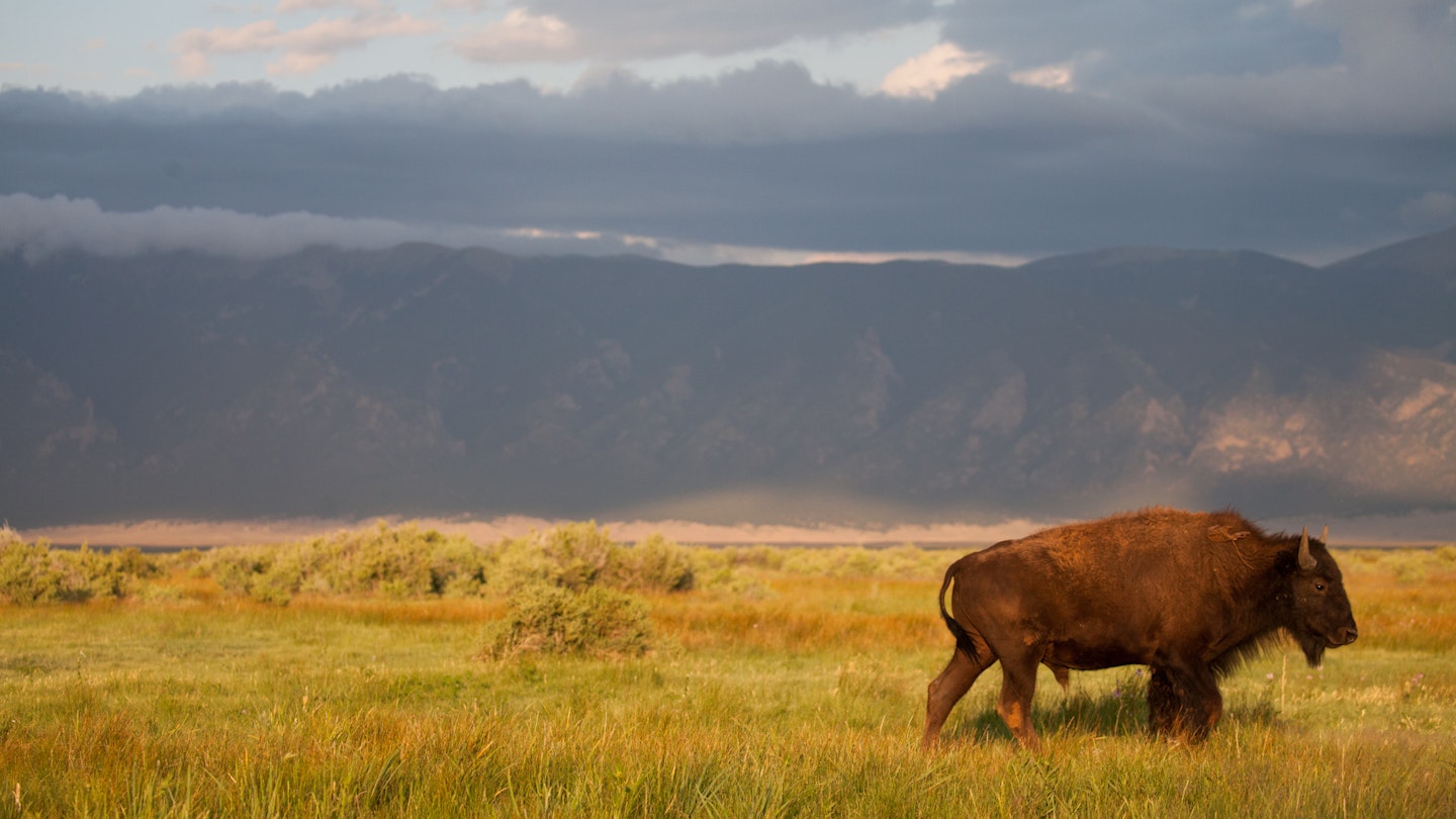 Discover 6 Unique Places to Stay in Colorado