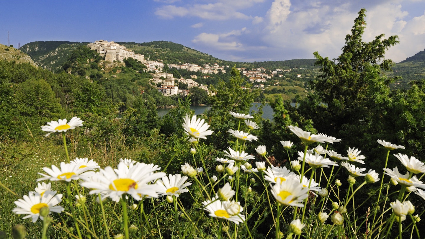 Top Wildlife and Nature Destinations to Visit in May