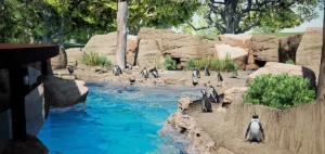 Franklin Park Zoo | iBestTravel