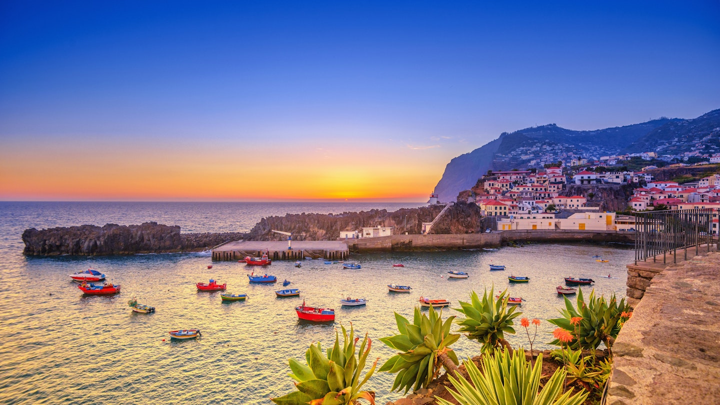 Top 7 Must-Do Activities in Madeira