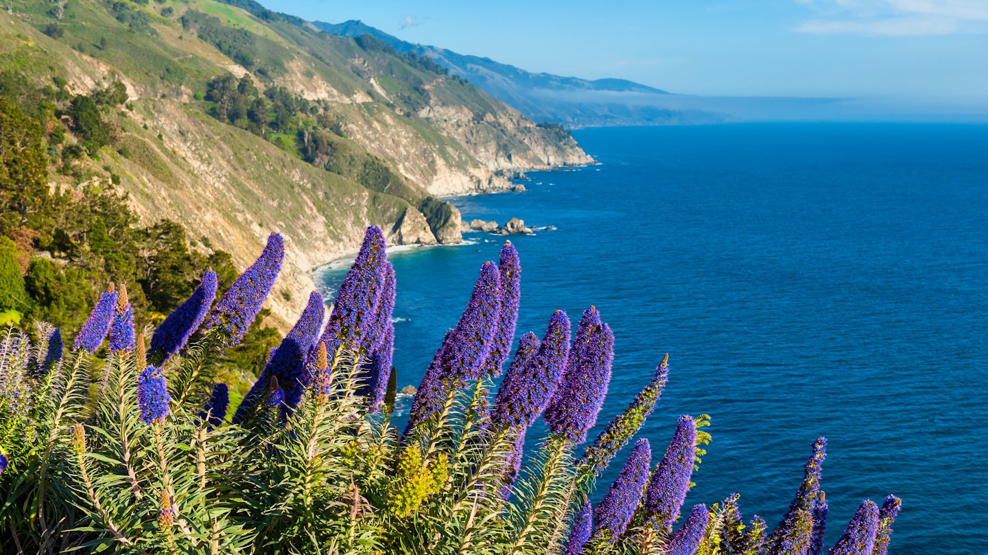 Discover the Best Big Sur Highlights on Your Highway 1 Adventure