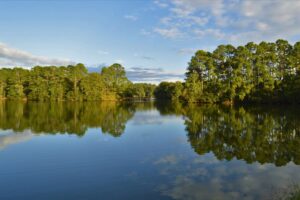 Hilton Head Islands natural landscapes