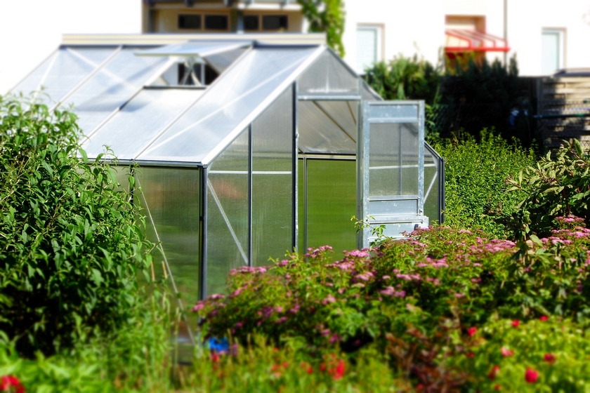 Transitioning from Full-Time Travel to Greenhouse Vegetable Gardening