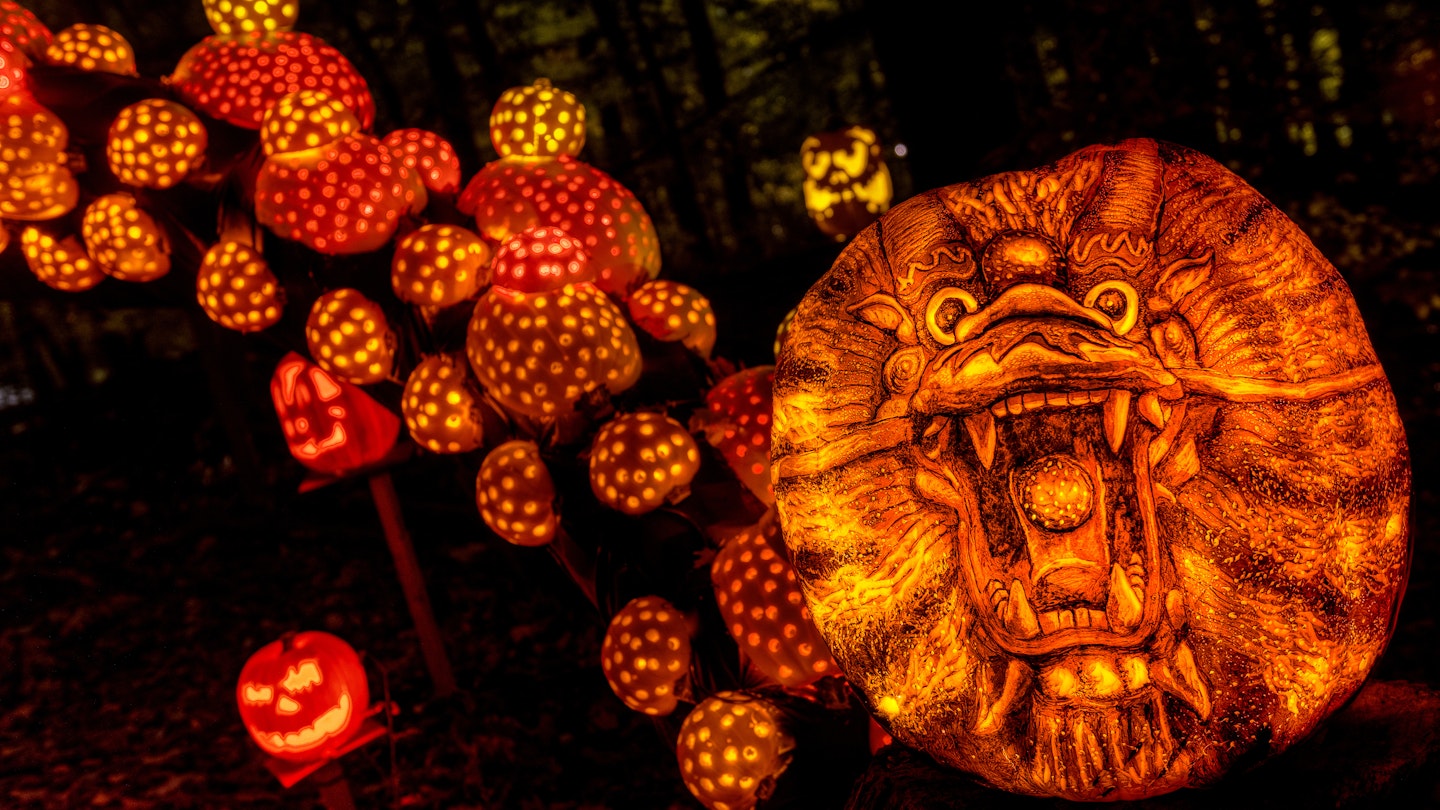 Top Pumpkin Regattas and Unique Gourd Events Across the US