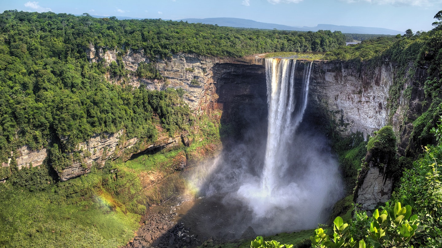 Discover Guyana’s Iconic Wildlife: A Comprehensive Tracking Guide