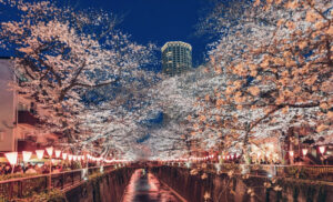 Meguro River iBestTravel