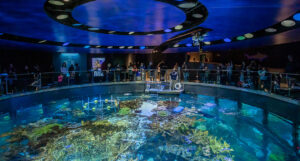 New England Aquarium | iBestTravel