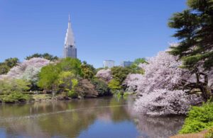 Shinjuku Gyoen | iBestTravel