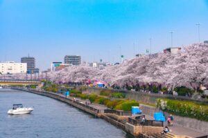 Sumida Park | iBestTravel