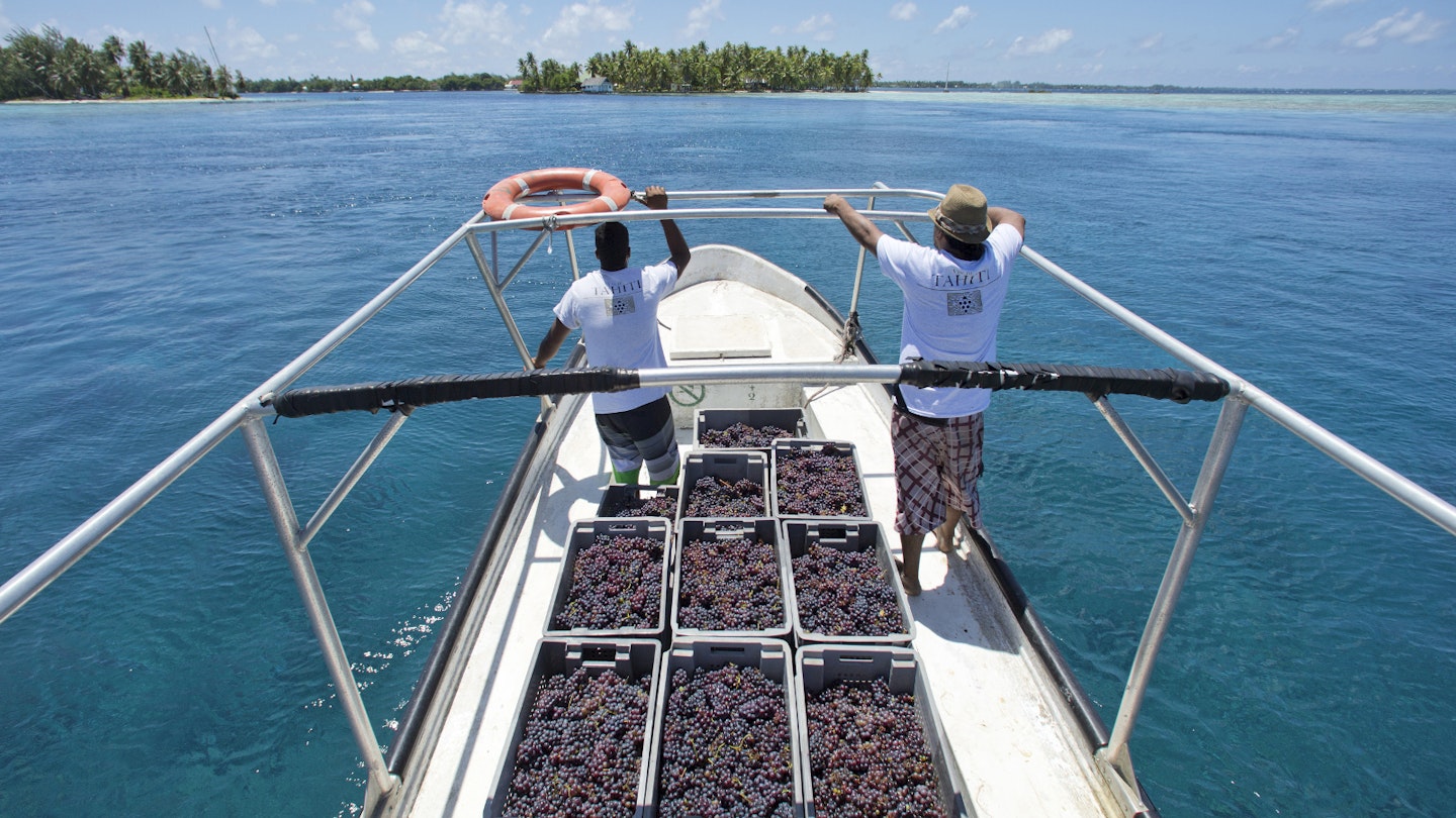 Discover 8 Unique Wine Islands: Secrets of Tipsy Winemakers