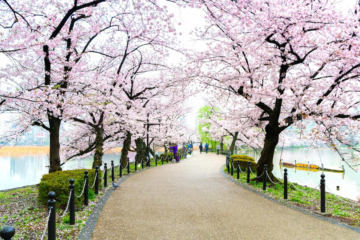 Ueno Park | iBestTravel