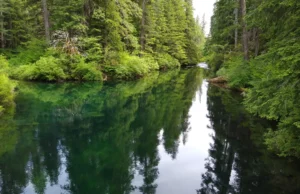 Willamette National Forest | iBestTravel