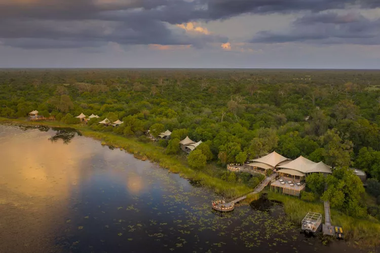 Experience the Unique Safari in Botswana: Beyond the Big Five