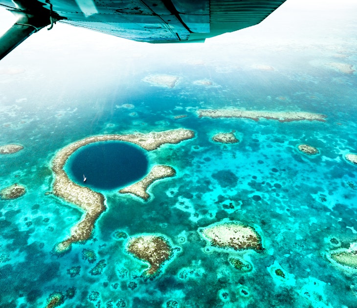 Thriving Marine Life in the Maldives: Resilience Against Coral Bleaching