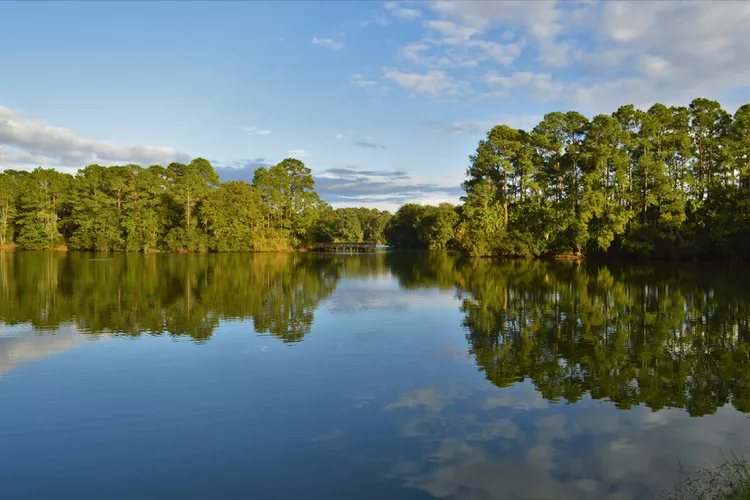 Top 5 Scenic Hikes Showcasing Hilton Head Island’s Natural Beauty